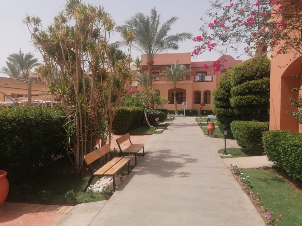 Gartenanlage Jaz Makadi Saraya Resort