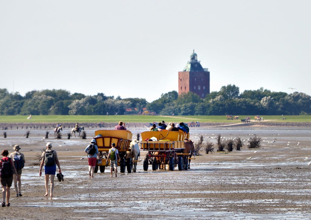 Wattwagen Richtung Neuwerk Pension Hus Achtern Diek