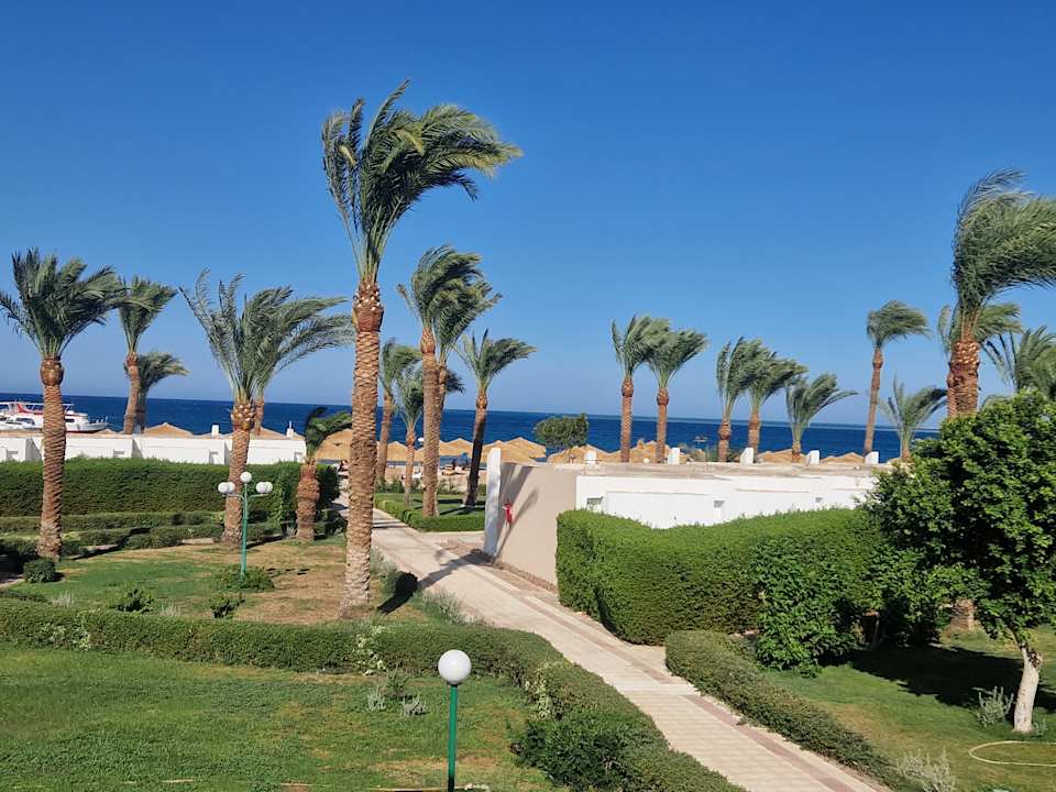 Ausblick Menaville Safaga