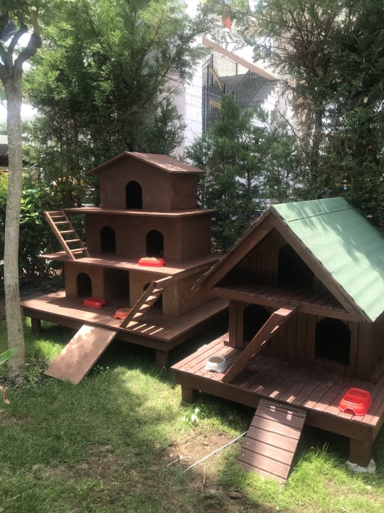 Sonstiges Hotel Delphin Imperial