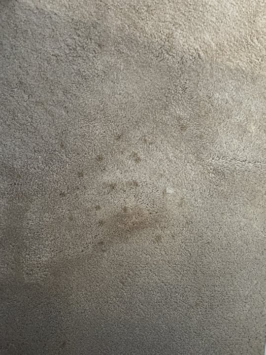 Zimmer Iberostar Selection Lagos Algarve