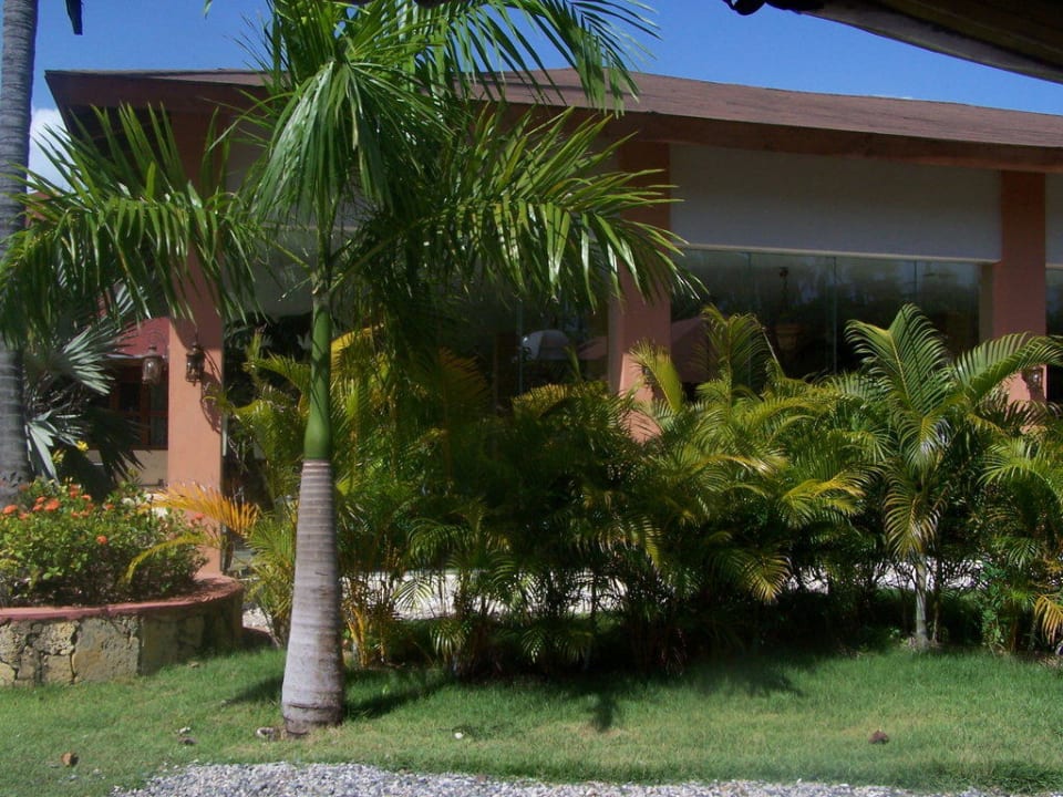 Hotel Grand Palladium Palace Resort, Spa & Casino Hotel Grand Palladium Palace Resort, Spa & Casino