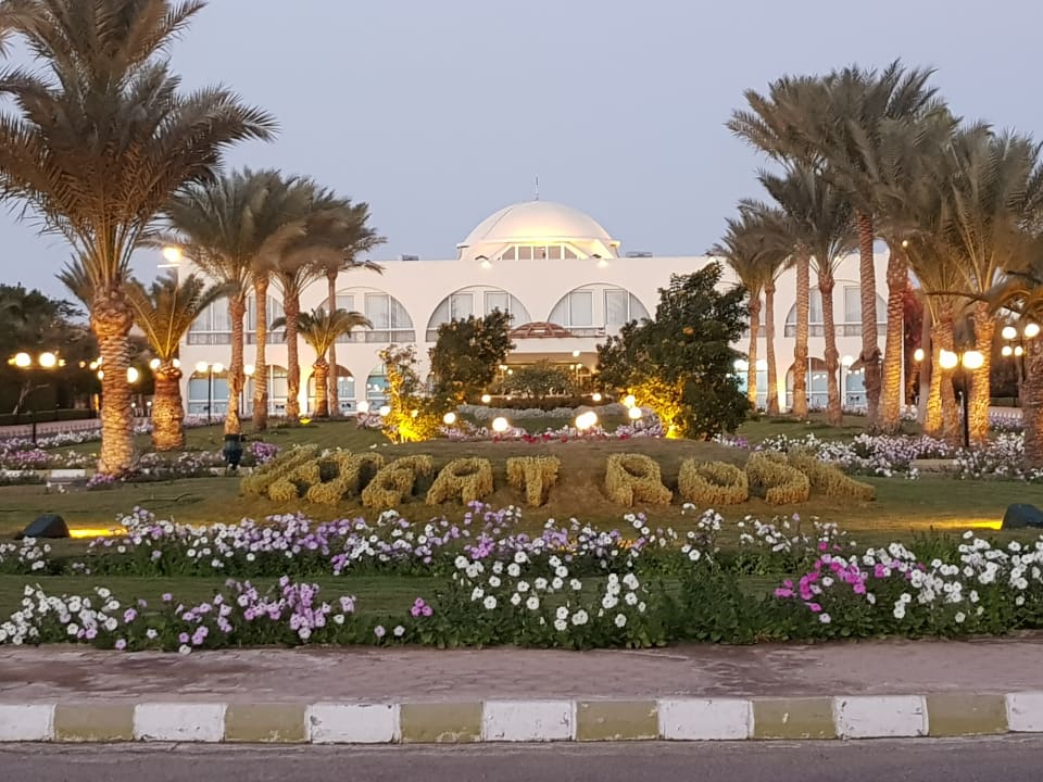 Außenansicht Desert Rose