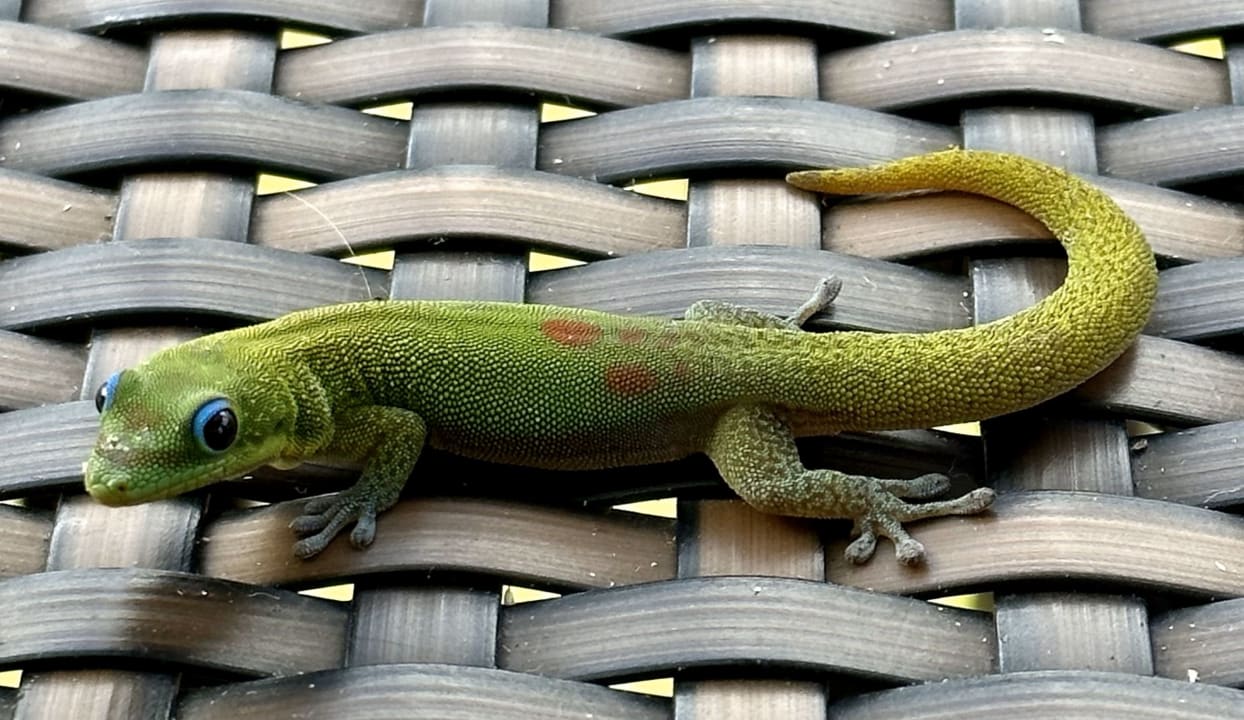 Sonstiges Sea Mountain Apartments