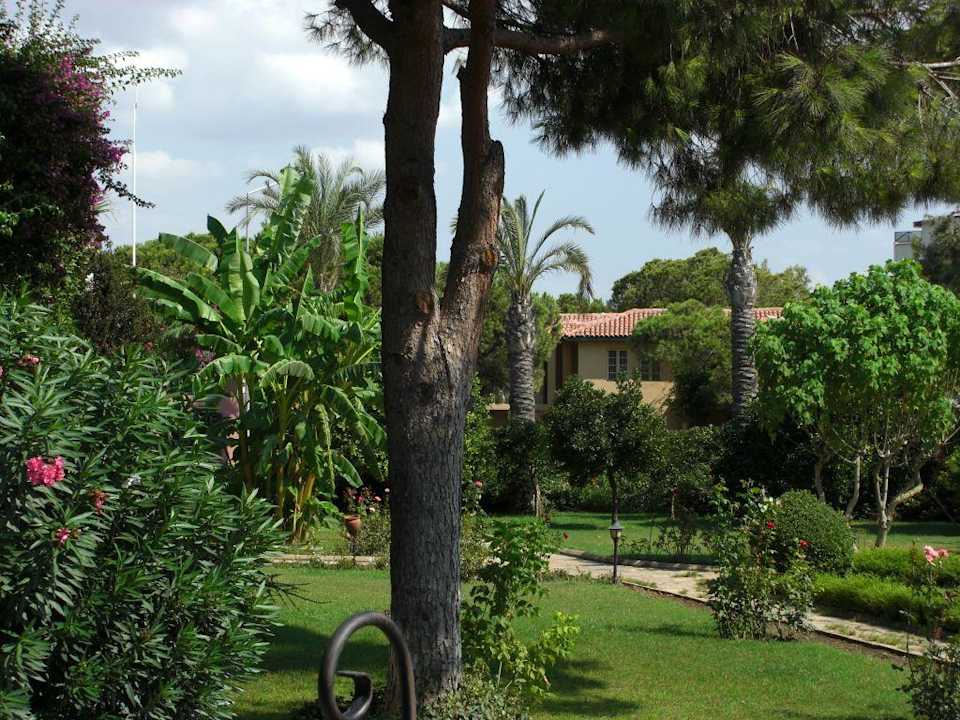 Hotelpark Bieno Club Venüs Hotel &Spa