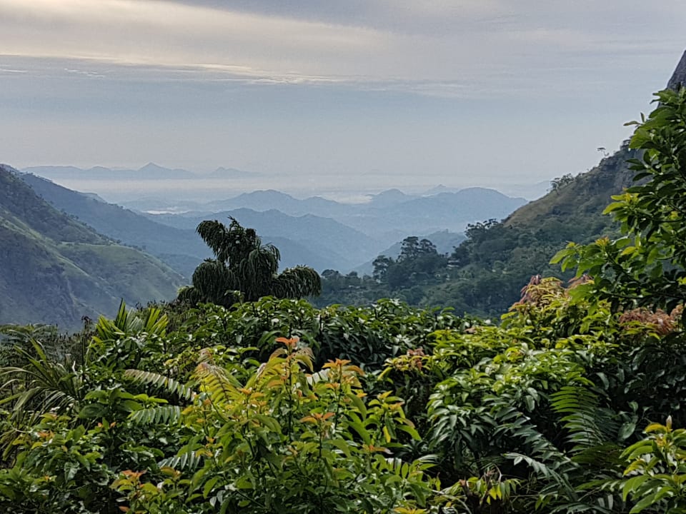 Ausblick Ella Mount View Guest Inn
