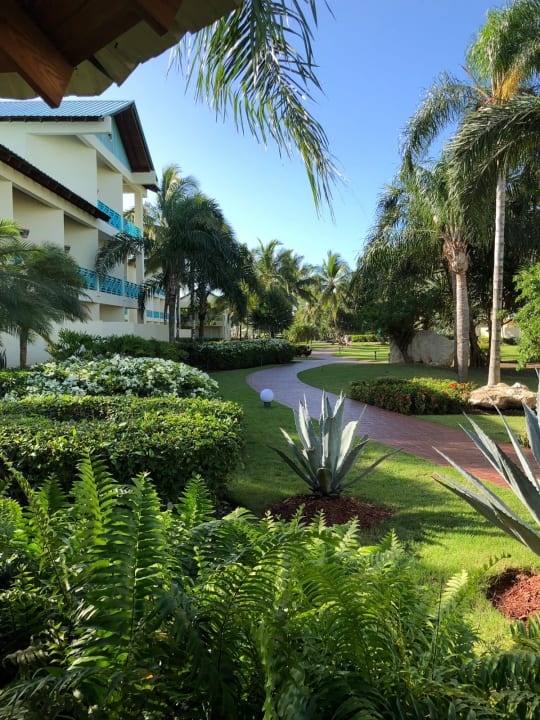 Gartenanlage Dreams La Romana Resort & Spa