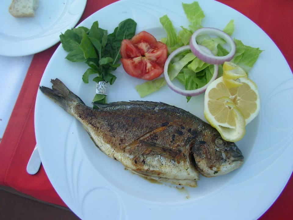 Lecker Hane Family Resort