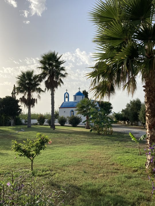 Gartenanlage Hotel Tigaki's Star