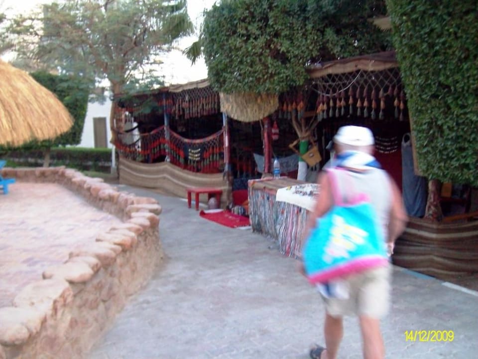 Beduinen im Garten Albatros Sharm Resort