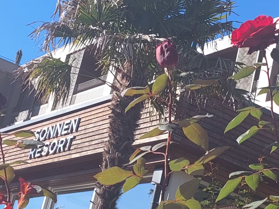 Außenansicht Sonnen Resort