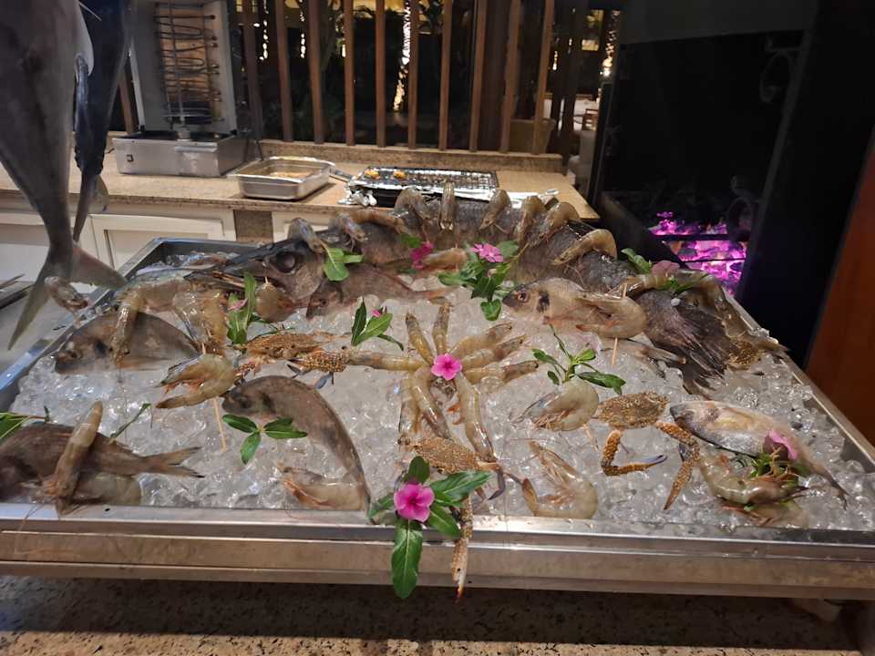 Gastro JAZ Elite Casa del Mar Beach