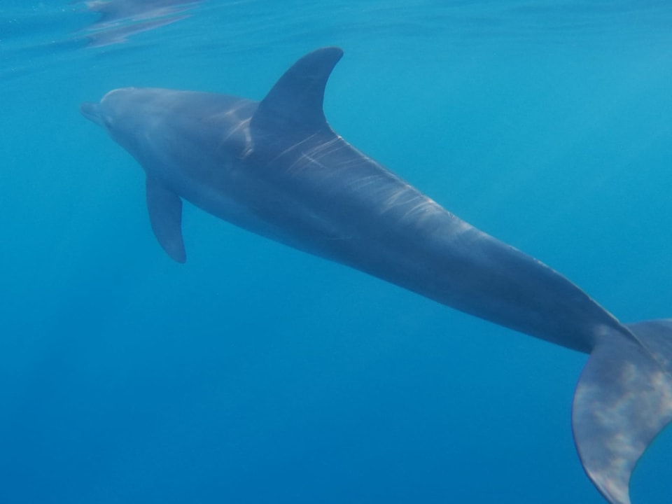 Sport & Freizeit Steigenberger Coraya Beach - Adults only