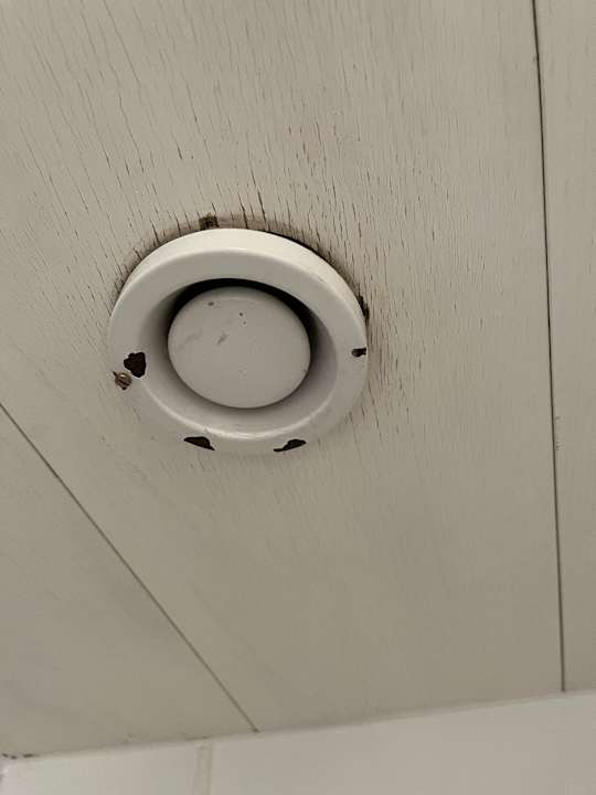 Zimmer Burghotel Am Hohen Bogen