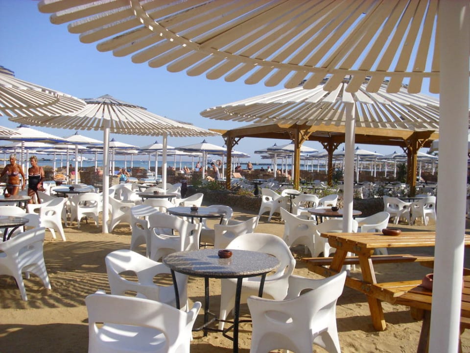 Sitzgelegenheiten am Strand Pickalbatros Dana Beach Resort - Hurghada