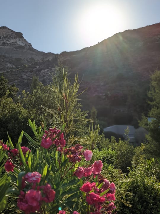 Ausblick Blue Lagoon Village