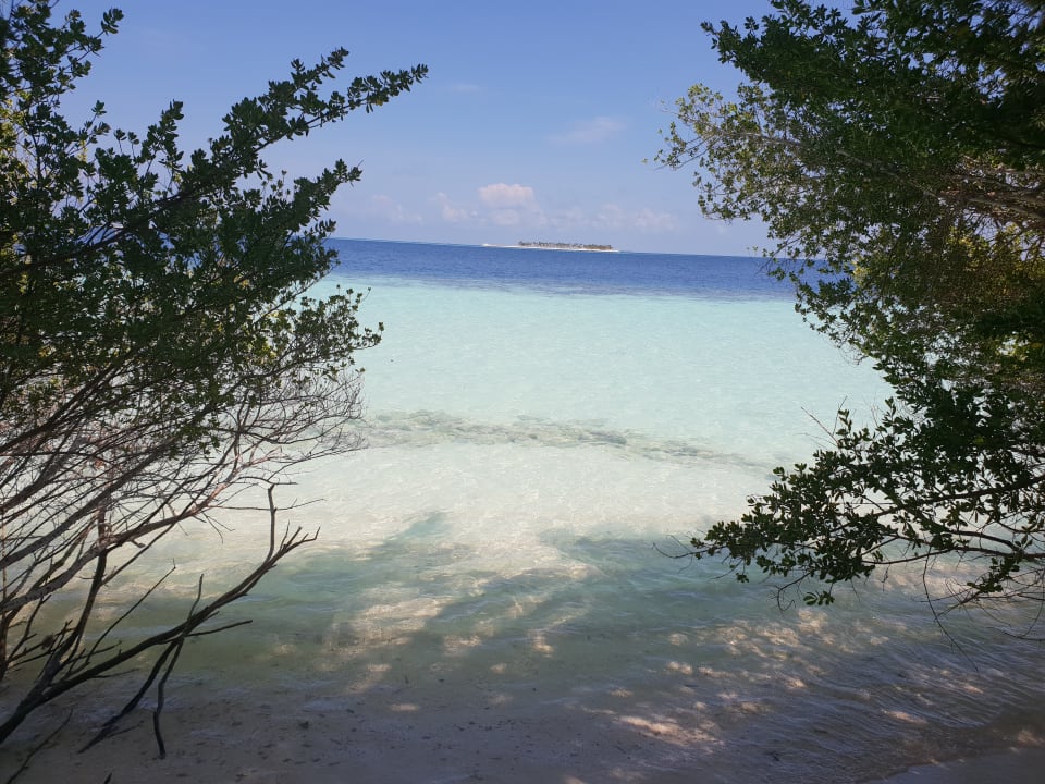 Strand Eri Maldives