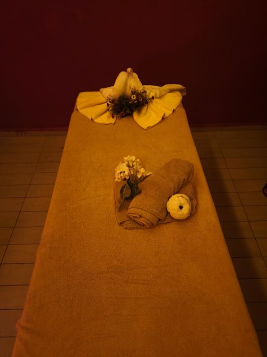 Sonstiges Seaden Sea Planet Resort & Spa