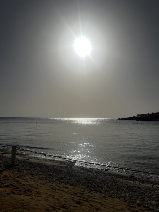 Strand Steigenberger Coraya Beach - Adults only