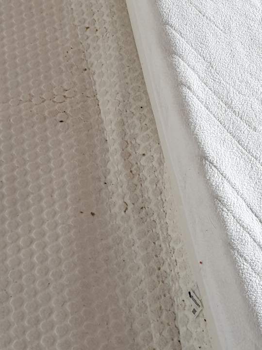 Zimmer Appartments Huis-Duinblik