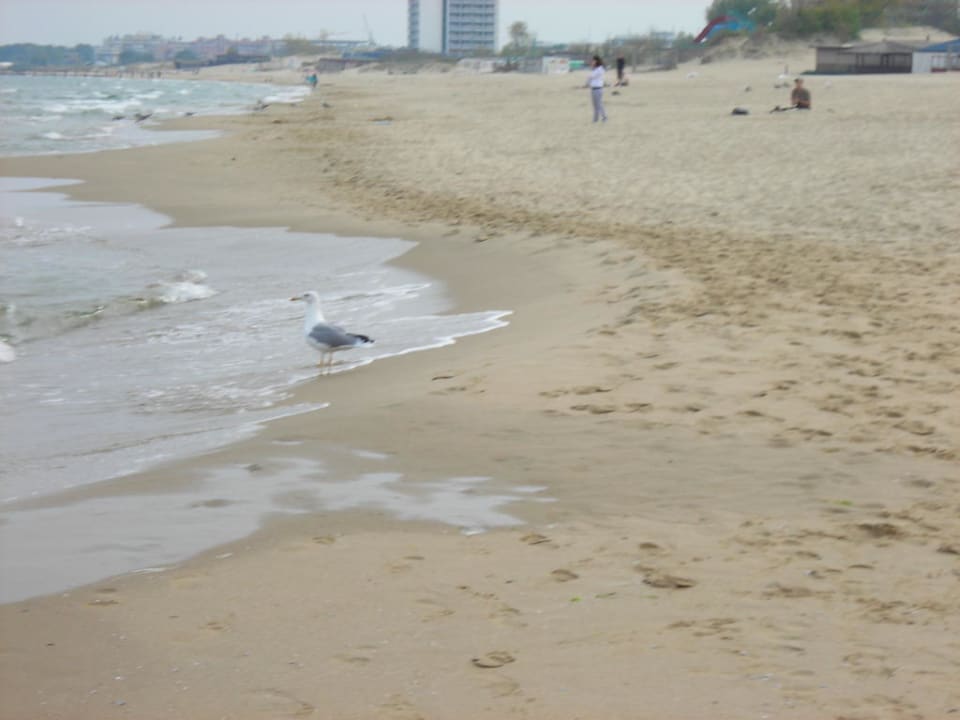 Strandabschnitt Hotel Laguna Park & Aqua Club