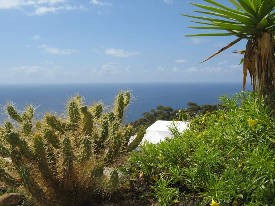 Ausblick von der Wiese neben dem Pool Coral La Quinta Park Suites