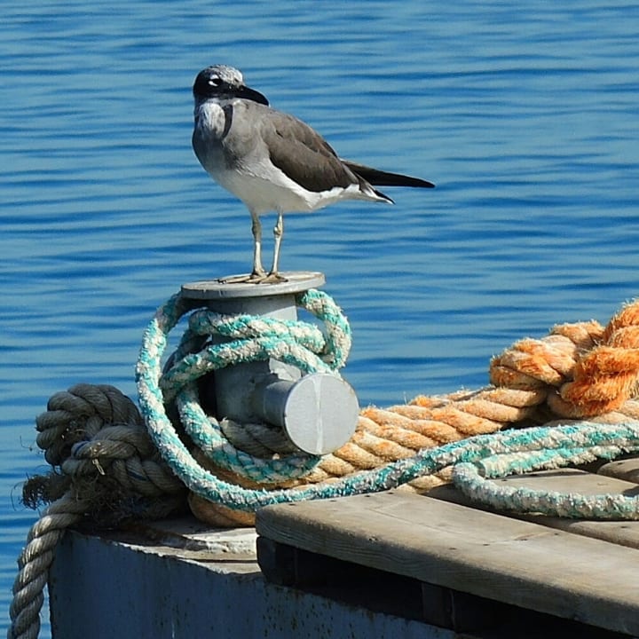 Strand Steigenberger Aqua Magic