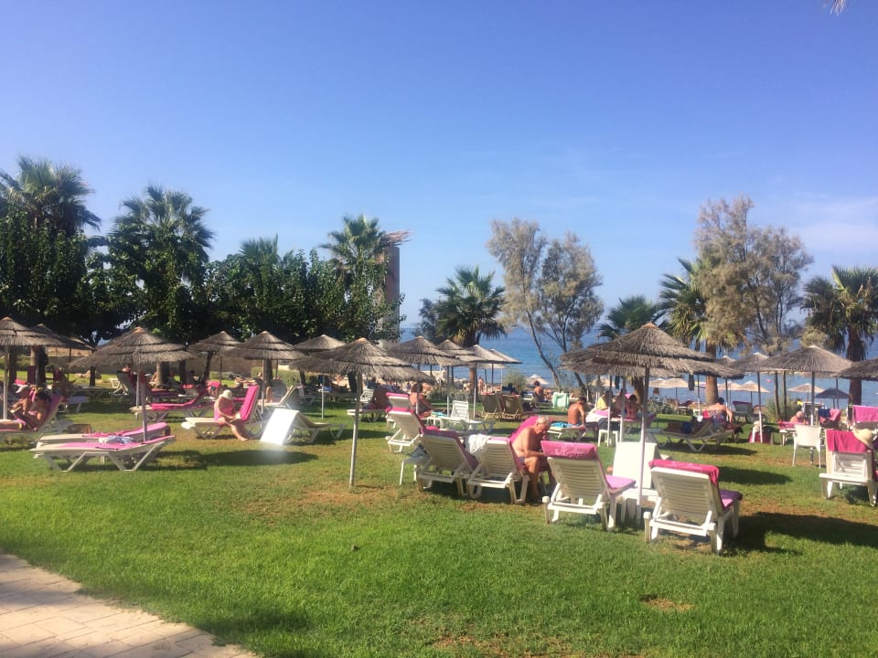 Gartenanlage St. George Beach Hotel & Spa Resort