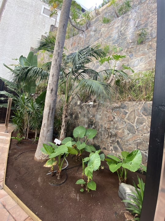 Gartenanlage Corallium Dunamar by Lopesan Hotels
