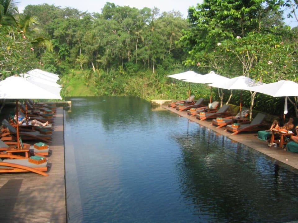 Pool Maya Ubud Resort & Spa Bali