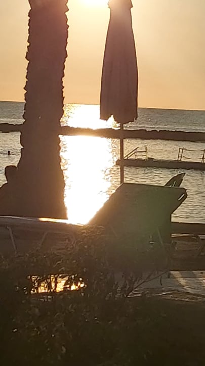 Außenansicht TUI BLUE Pioneer Beach