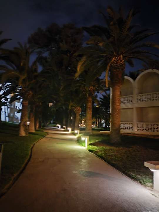 Gartenanlage Hotel Marhaba Club