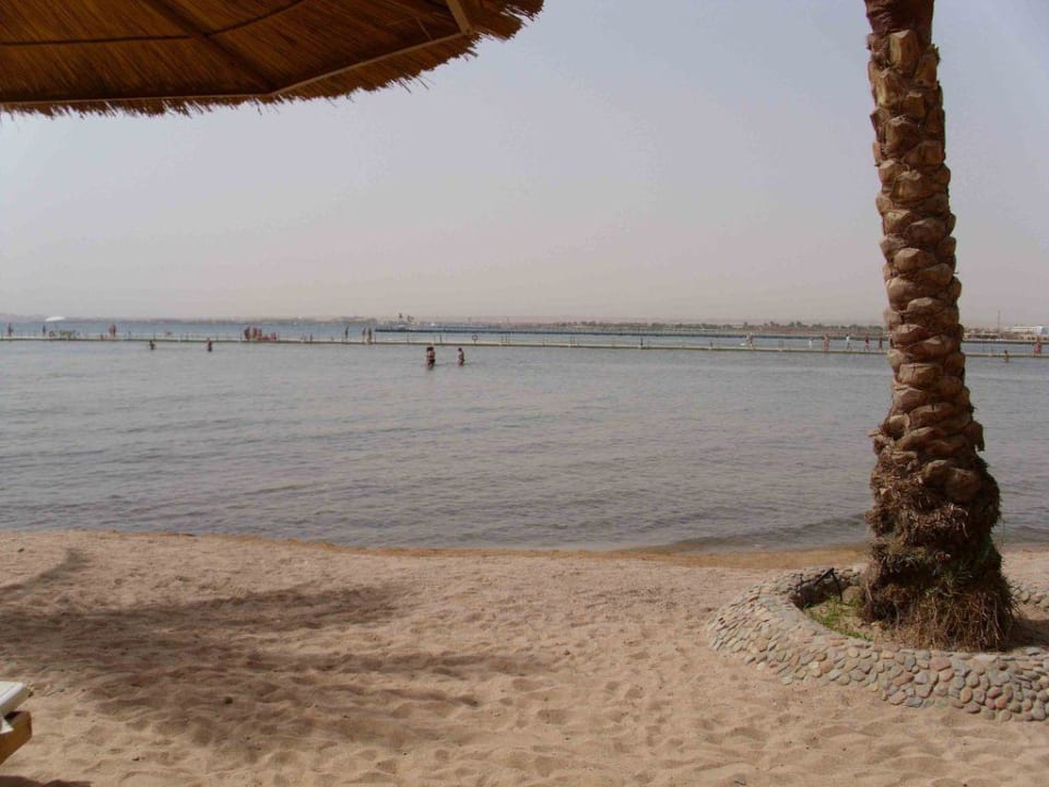 Strand Beach Albatros Resort