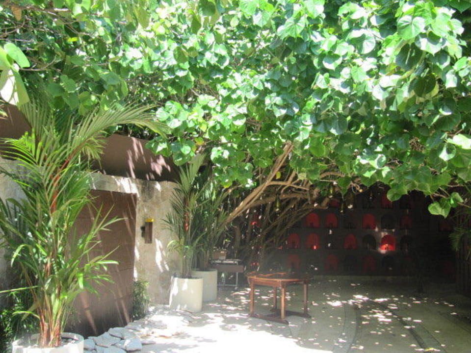 Ogród Live Aqua Beach Resort Cancun  - Adults only