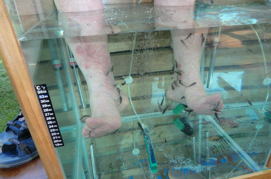 Doktorfische Belek Beach Resort Hotel