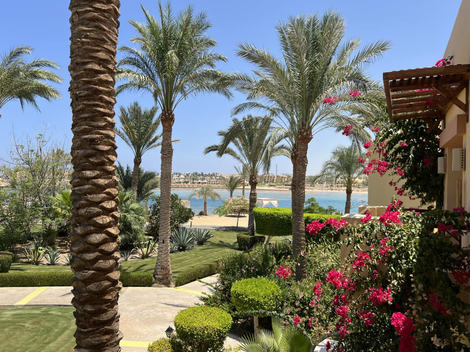 Zimmer Steigenberger Coraya Beach - Adults only