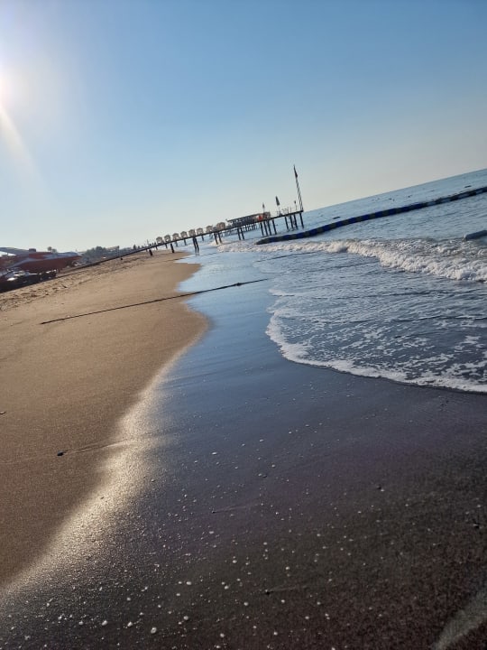 Strand Crystal Family Comfort Collection