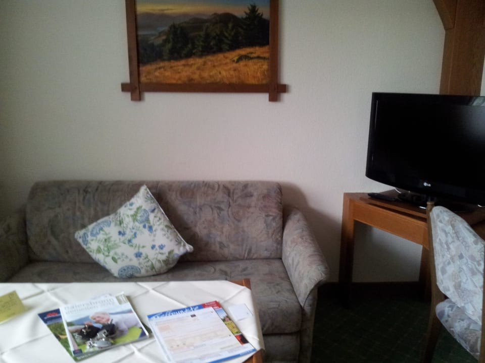 Fehrnsehecke im Zimmer Hotel Rose