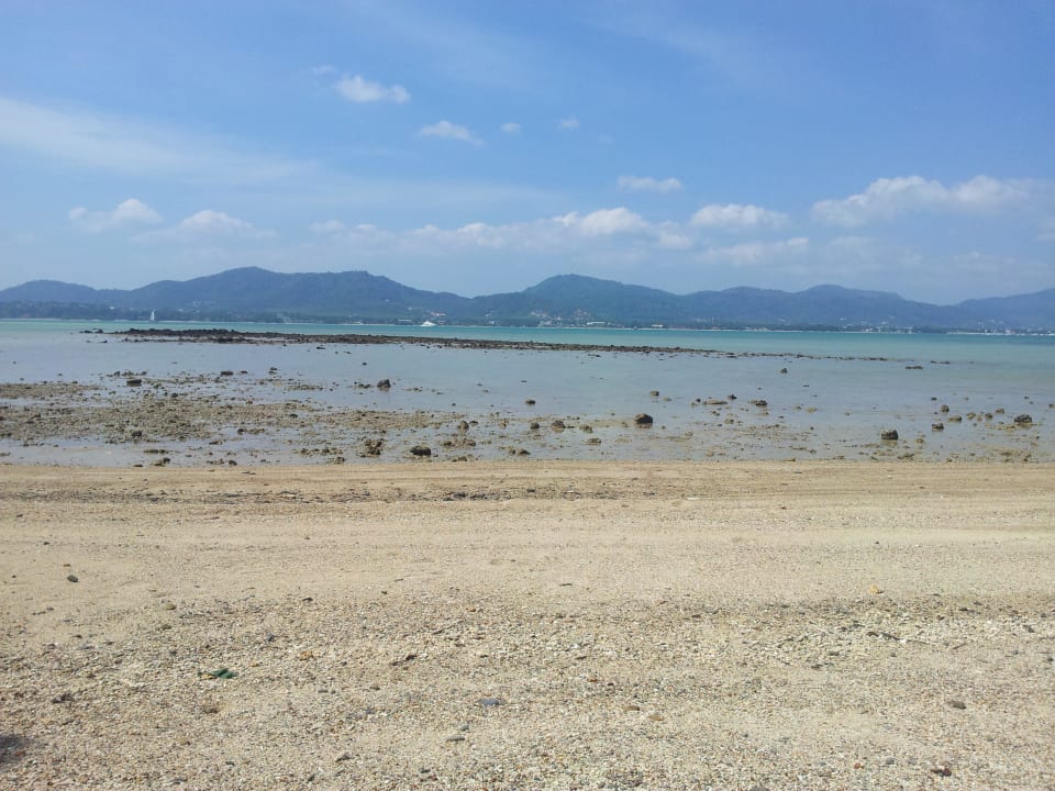 Viele Steine mit scharfen Muscheln im Meer Hotel Baan Mai Cottages, Ko Lone