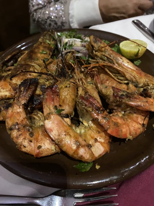 Gastro Makadi Spa - Adults only