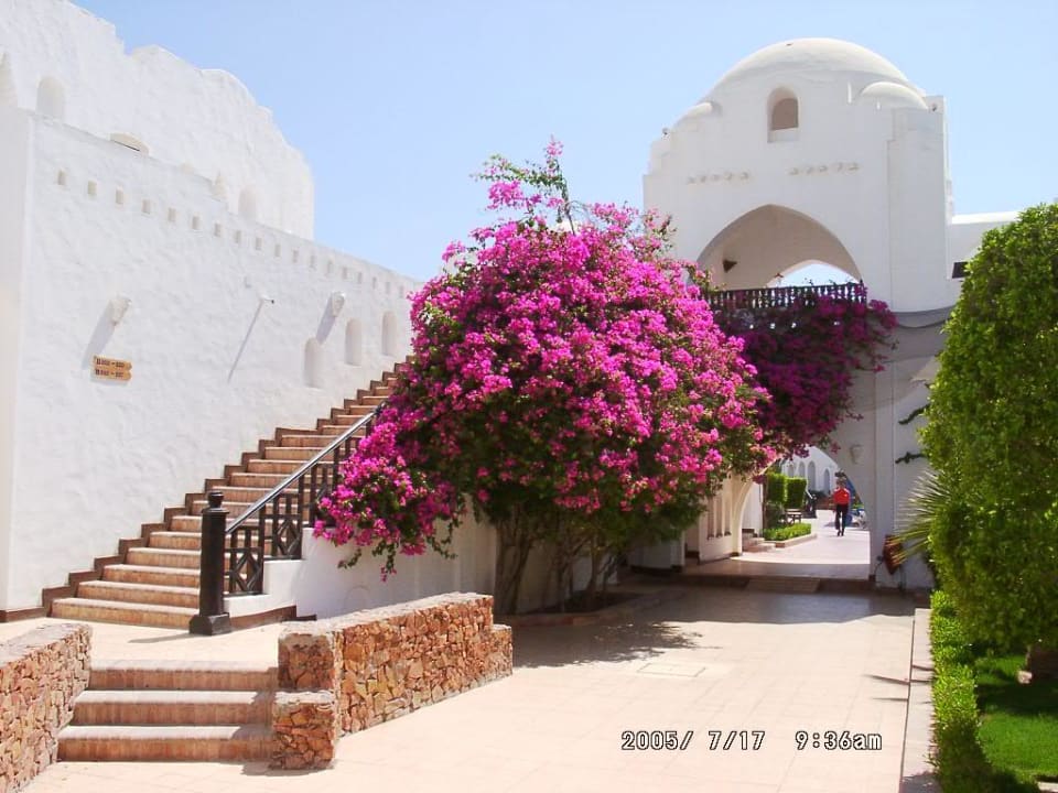 Arabella Arabella Azur Resort