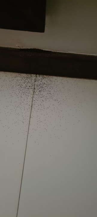 Zimmer Adaaran Select Hudhuran Fushi - Premium All Inclusive