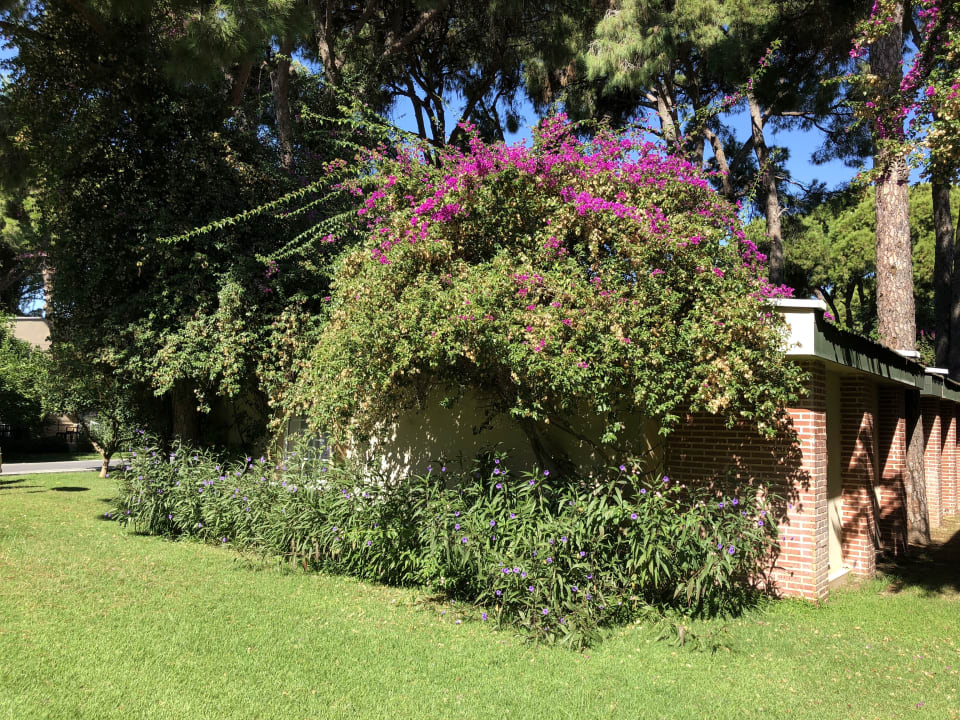 Gartenanlage Pine Beach Belek