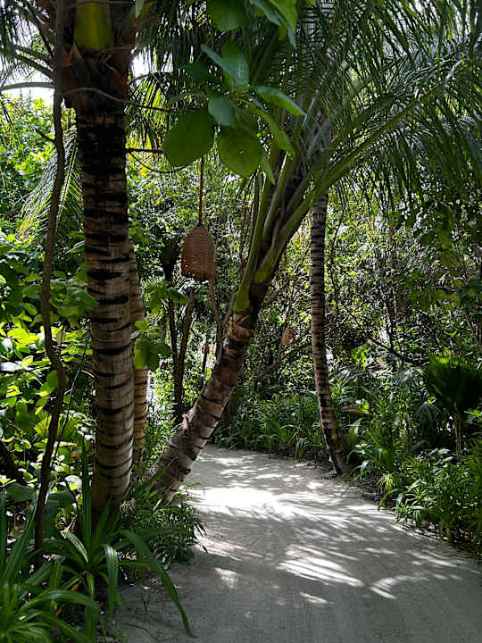 Außenansicht Le Meridien Maldives Resort & Spa