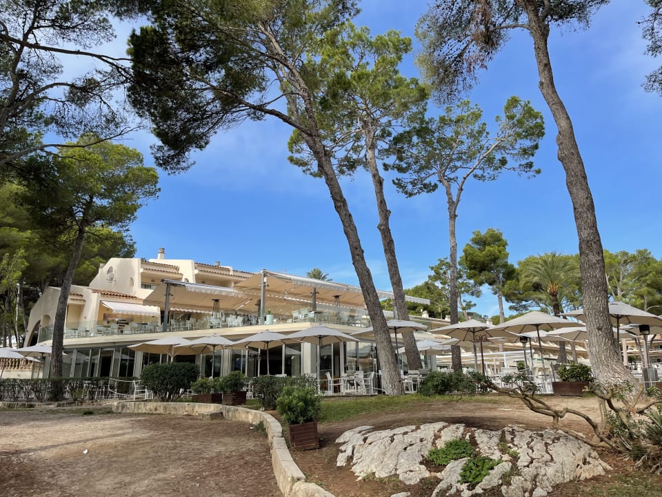 Außenansicht Iberostar Waves Pinos Park