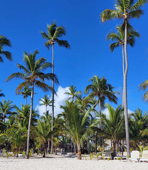 Strand Hotel Riu Palace Punta Cana