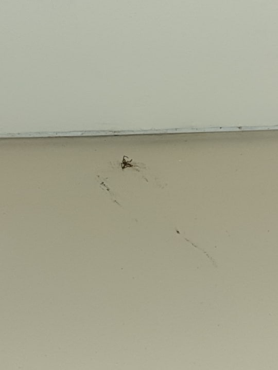 Sonstiges Le Meridien Ile Maurice