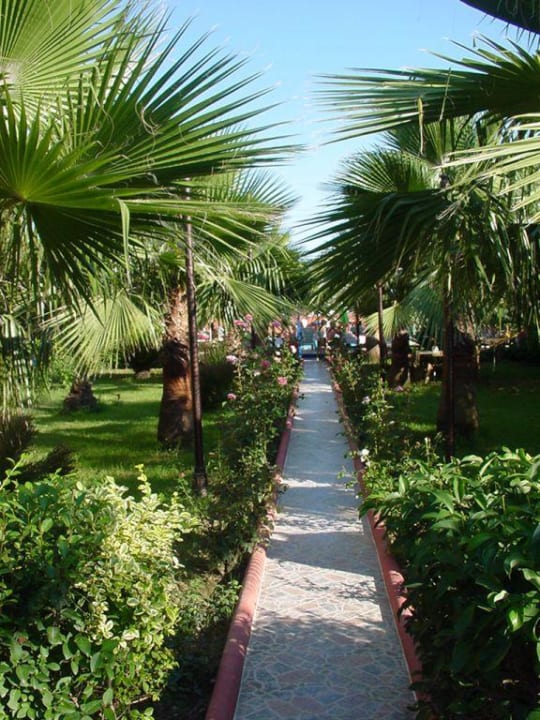 Ogrod Hotel Özgürhan