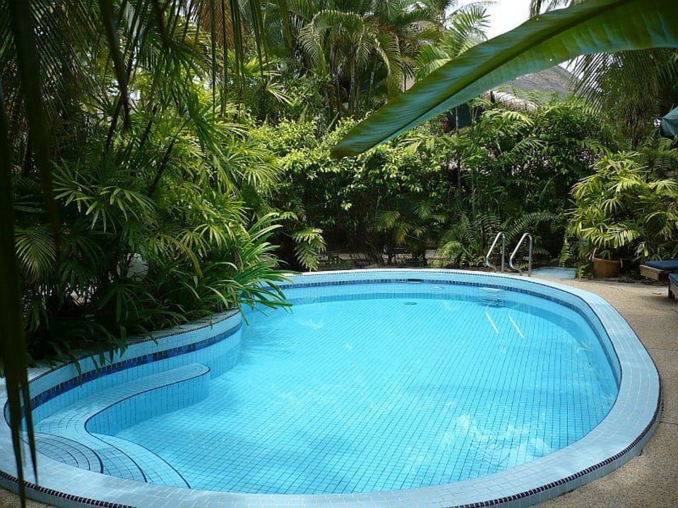 Hotelpool Hotel Beach Garden Resort