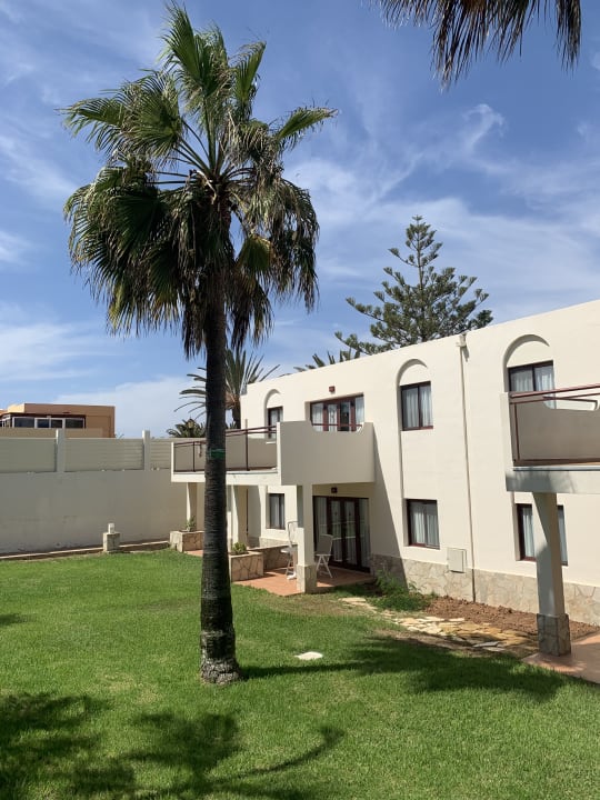 Garten Alua Suites Fuerteventura